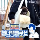 강아지와의 외출 필수템! 레토 올쿠션 숄더백 이동가방 후기