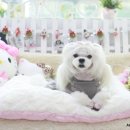 꼬지하우스 이미지