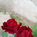 자연이 주는 선물