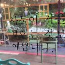 소소레 이미지