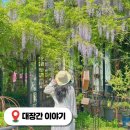 상대1리 | 청주 등나무꽃 대장간이야기 대전근교 드라이브 나들이