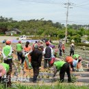 영원면사무소 이미지