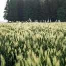 주식회사 새벽다섯시 이미지