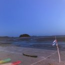 러블리펫 이미지