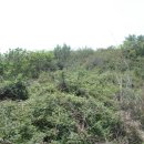 남원읍-106 이미지