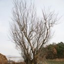 신천이발관
