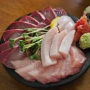 난다고래 이미지