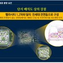 벨라시티 이미지