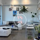 카페마루 | 포항 송도동 실내 애견동반카페 마루 추천 내돈내산 후기