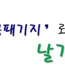 새일패키지 이미지