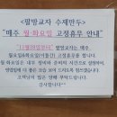 망고씨앤씨 이미지