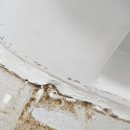 도봉-도봉-서울도봉-2212 이미지