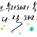 늘행복하면돼지 이미지