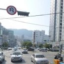 백산자연유치원 이미지