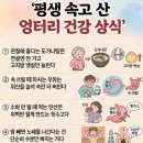 엉터리네 이미지