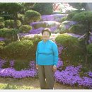 지리산나들이농원 이미지