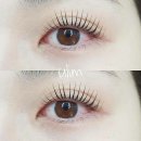 유림래쉬(Ulim lash) | 대구 반월당 속눈썹펌 잘하는곳_ulim lash(구.메이크잇스타일 뷰러펌)