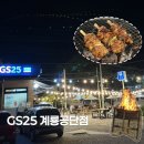 GS25 대전중리점 | 대전 근교 계룡 무료 바베큐장｜GS25 계룡공단점 우리동네 캠핑장 후기