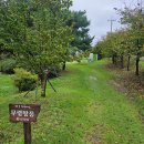 공주-28 | 2025년 09월 28일 공주백제마라톤 풀코스 후기