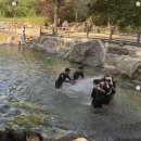 포레스트벨리 이미지