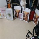 단신 ᆢ경남아 정기간행물 제02642호 한국경찰기독선교신문 김형택주필 ᆢ♡^^ 이미지