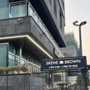 스케네 브라운 | 서대무구 홍은동 분위기 좋은 카페 스케네브라운, 가죽가방 쇼룸과 감각적인 공간이 공존하는 곳 후기