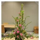 꽃꽂이 초급 이미지