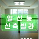 서유1호 이미지