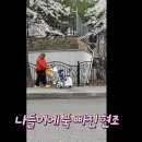 코지어린이집 | 20개월 아기 산책,등원템 코지 푸쉬카 구매 후기