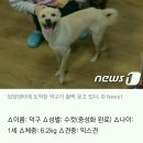 기다리다 Daum카페