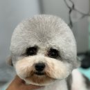 위드뚜뚜 이미지