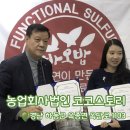 (주)신풍년바이오 | 농업회사법인 주식회사 코코스토리 | 일소 열과 착색부진 극복하는 항산화재배 | 사과