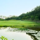 여주-0558 네이버블로그