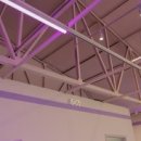 팔로니아 복싱 이미지