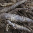 유장농장 이미지