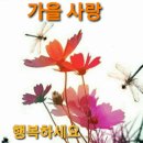 우리들의 이야기...../ 노래-윤형주 이미지