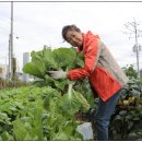 재학농장 이미지