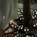 서하체육공원 이미지