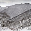 은빛세상 이미지