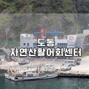 도동활어회센터