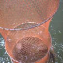 소양강양어장 이미지