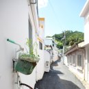 협동조합 마을산책 이미지