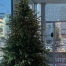 맹그로브 신설 이미지