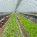 마교보건진료소 이미지