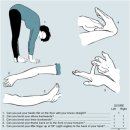 무진한의원 | [강남역 필라테스] 플랭크필라테스 :: 19회ing.. 재활 교정 필라테스 후기