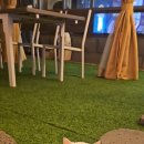 운정이마트 앞 이미지