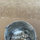 설악해수욕장 주차장 화장실 이미지