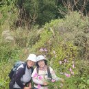 관광농원낚시터 이미지