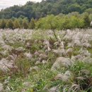 인천대공원(거수골) 이미지