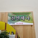 엘샤론 이미지